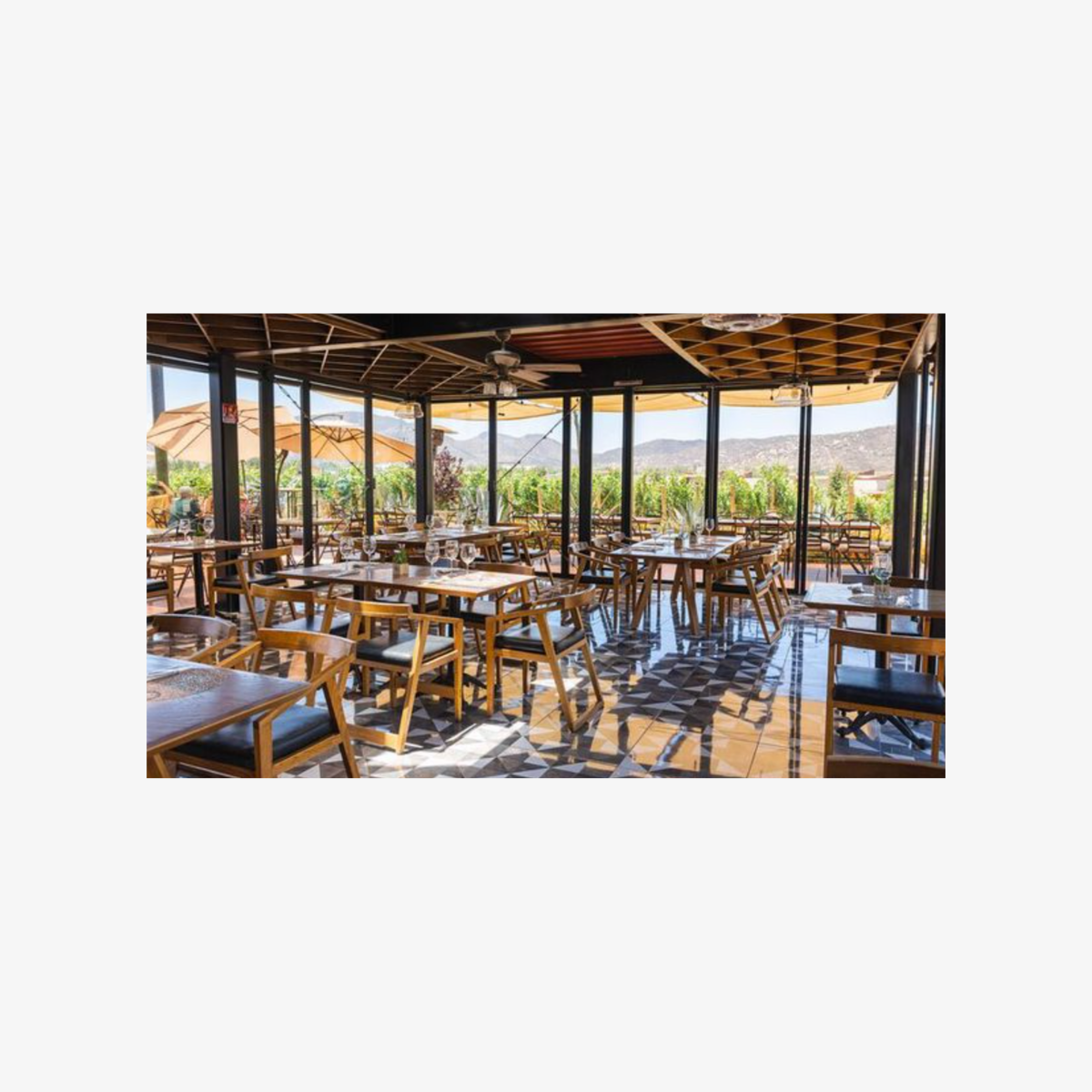 bus_wine_tour_by_ansell_tours